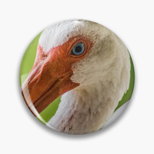 Item preview, More American white ibis designed and sold by KensLensDesigns.