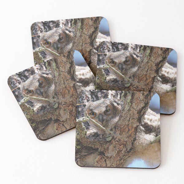 Item preview, Baby Great Horned Owl in a Tree designed and sold by MomentofPercep.