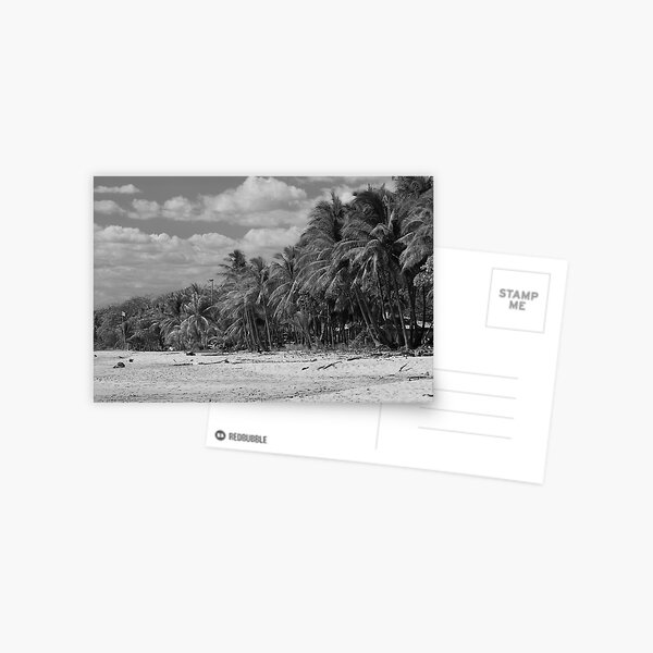 la playa Postcard