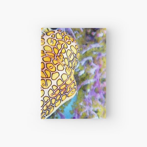 Watercolor Mollusk, Flamingo Tongue 02, St John, USVI, Colorful Celebration Hardcover Journal