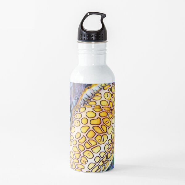 Watercolor Mollusk, Flamingo Tongue 02, St John, USVI, Colorful Celebration Water Bottle