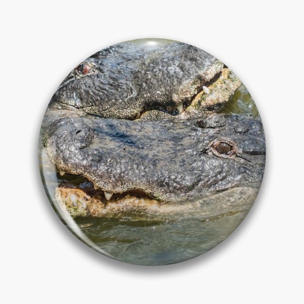 Item preview, Double trouble with Alligators designed and sold by KensLensDesigns.