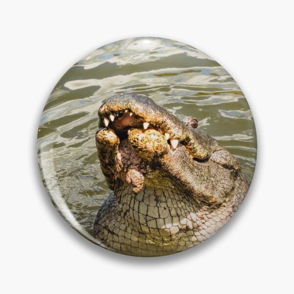 Item preview, Amiling Alligator designed and sold by KensLensDesigns.
