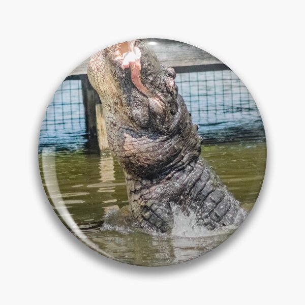 Item preview, Eating Alligator 2 designed and sold by KensLensDesigns.