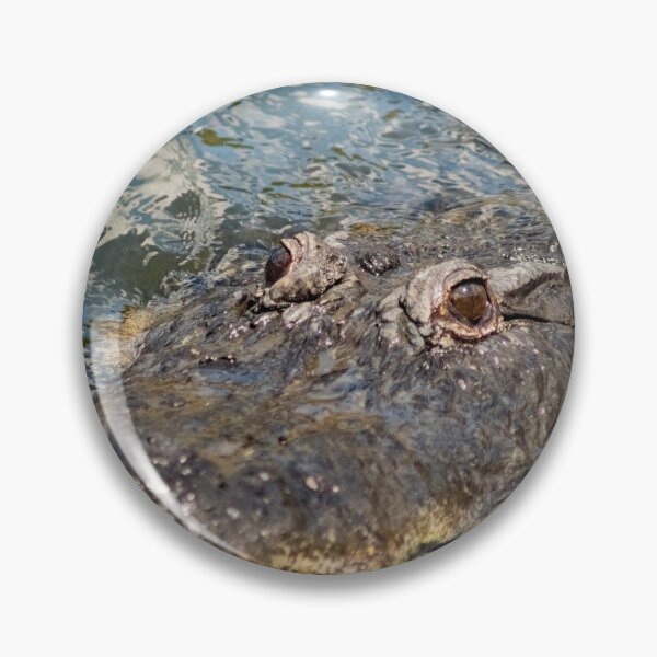 Item preview, South Orange of Alligator  designed and sold by KensLensDesigns.