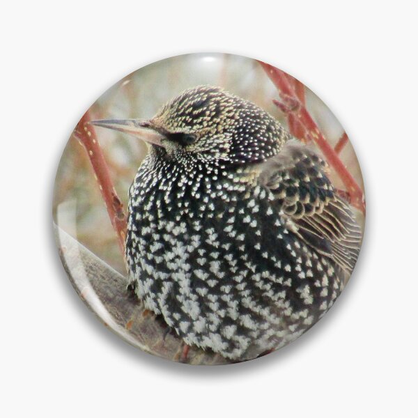 Item preview, Sat in the budding tree designed and sold by missmoneypenny.