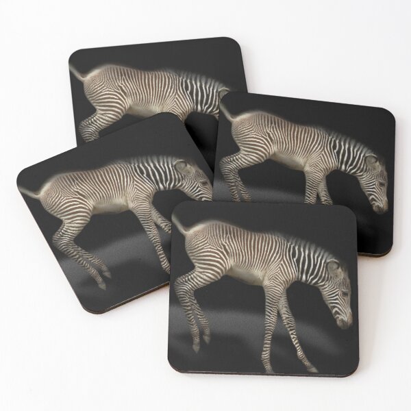 Item preview, Baby Zebra Photography/Art designed and sold by myequineartwork.