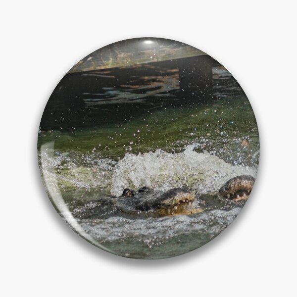 Item preview, Two Alligators designed and sold by KensLensDesigns.