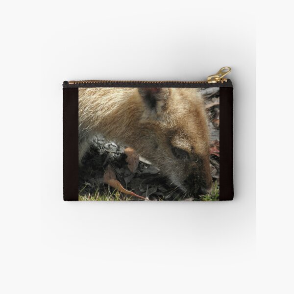 Item preview, Beautiful Blonde, Cradle Mountain, Tasmania, Australia. designed and sold by kaysharp.
