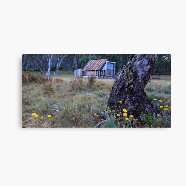 Item preview, Davies Plain Hut designed and sold by Donovan Wilson.