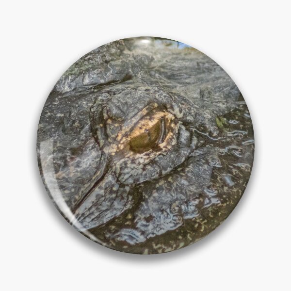Item preview, Headshot of the Alligator 2 designed and sold by KensLensDesigns.