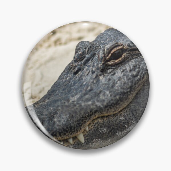 Item preview, Close up of a relaxing gator designed and sold by KensLensDesigns.