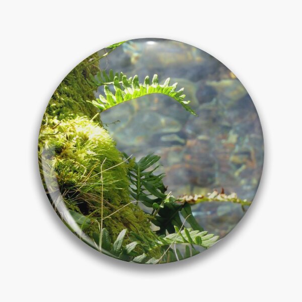 Artikelvorschau, Moos & Ferns Crescent Lake Shoreline entworfen und verkauft von Elaine Bawden.