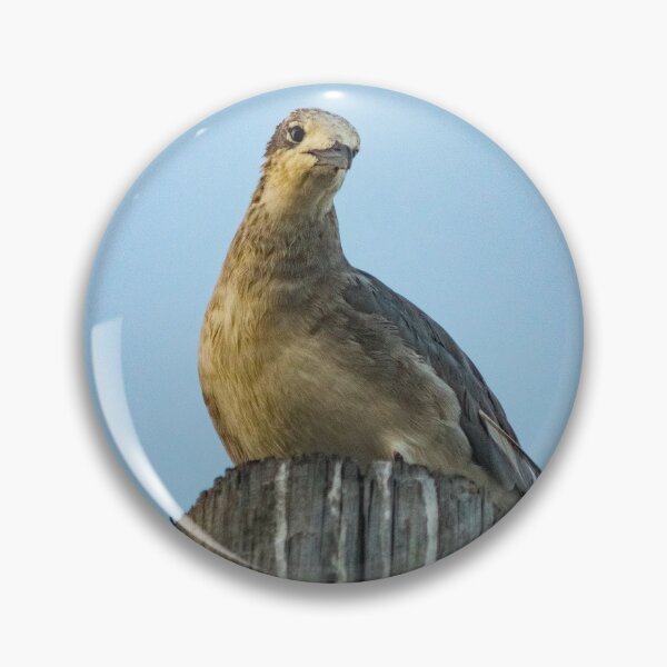 Item preview, Portrait of a Gull designed and sold by KensLensDesigns.