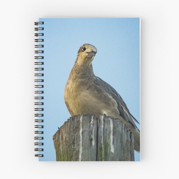Item preview, Portrait of a Gull designed and sold by KensLensDesigns.