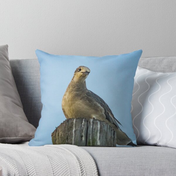 Item preview, Portrait of a Gull designed and sold by KensLensDesigns.