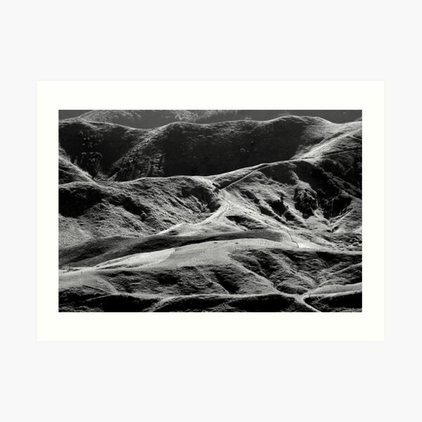 New Zealand's Hilly Farmland Art Print