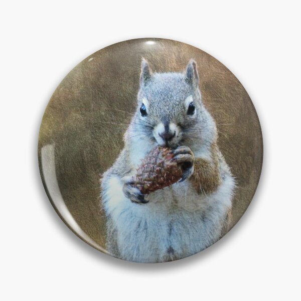 Item preview, Squirrel with a Pine Cone designed and sold by Frankie Cat Photography.
