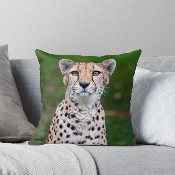 Item preview, Cheetah Portrait designed and sold by jenniferstuber.