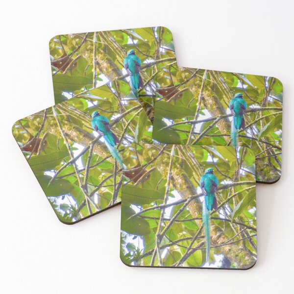 Item preview, Resplendent Quetzal designed and sold by hschwietz.