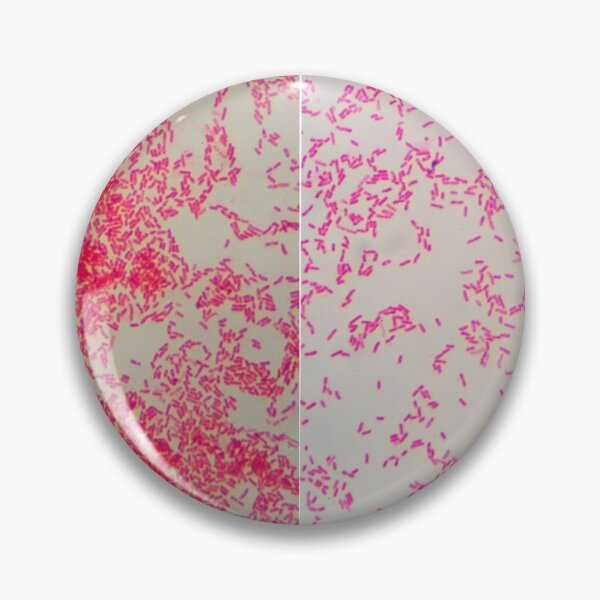 Item preview, GRAM NEGATIVE Pattern MICROSCOPIC Image PHOTO...Micro designed and sold by Hippiesole.