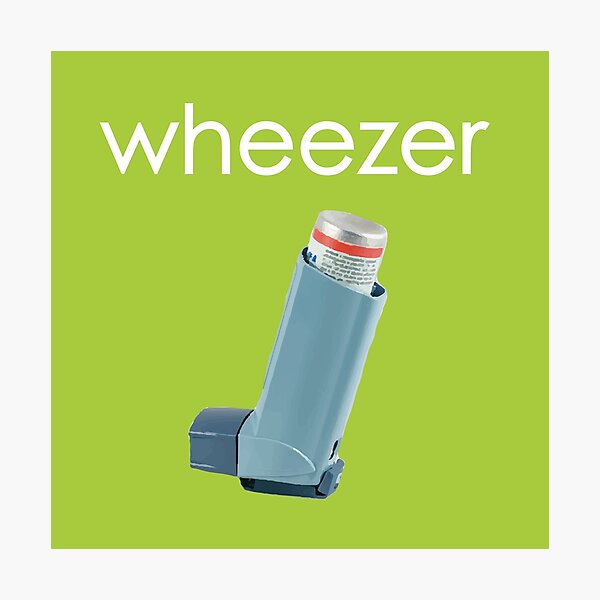 weezer Photographic Print