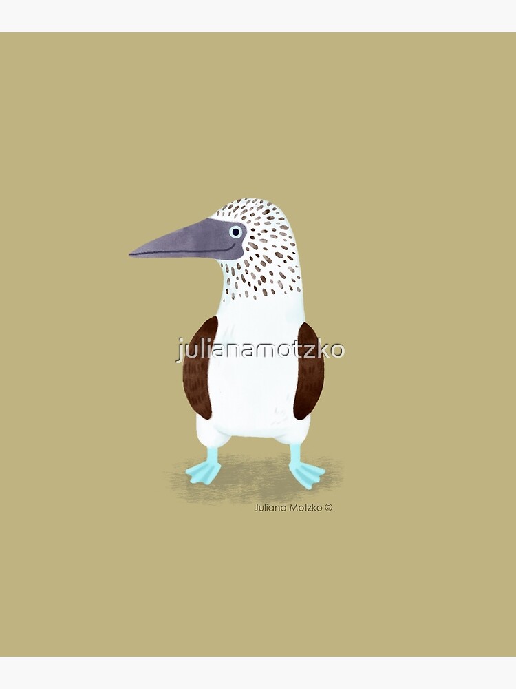 Blue Footed Booby by julianamotzko