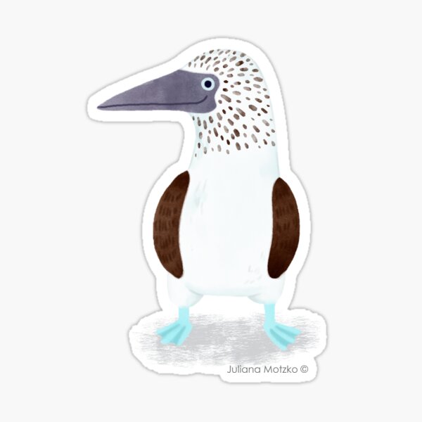 Blue Footed Booby Sticker
