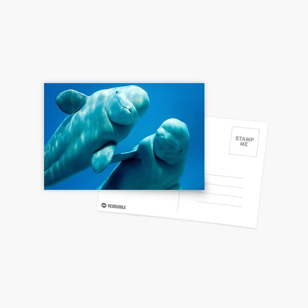 Item preview, Beluga Whales designed and sold by jenniferstuber.