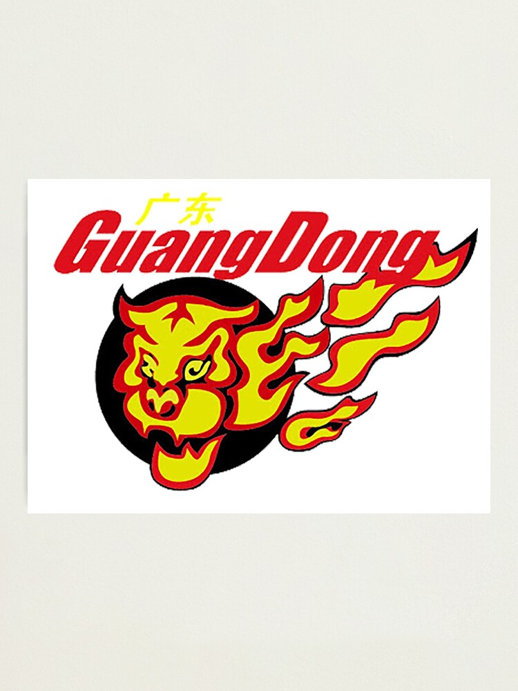 Guangdong Southern Tigers - Wikipedia