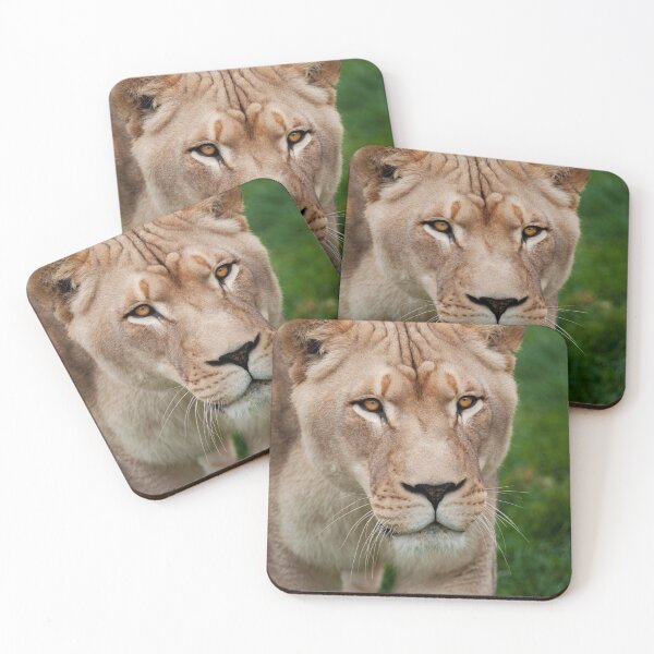 Item preview, African Lion designed and sold by jenniferstuber.