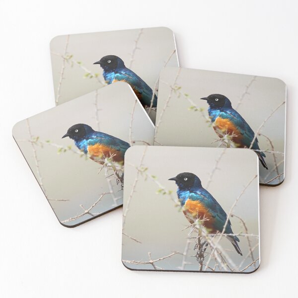 Item preview, Superb Starling, Kenya  designed and sold by Carole-Anne.