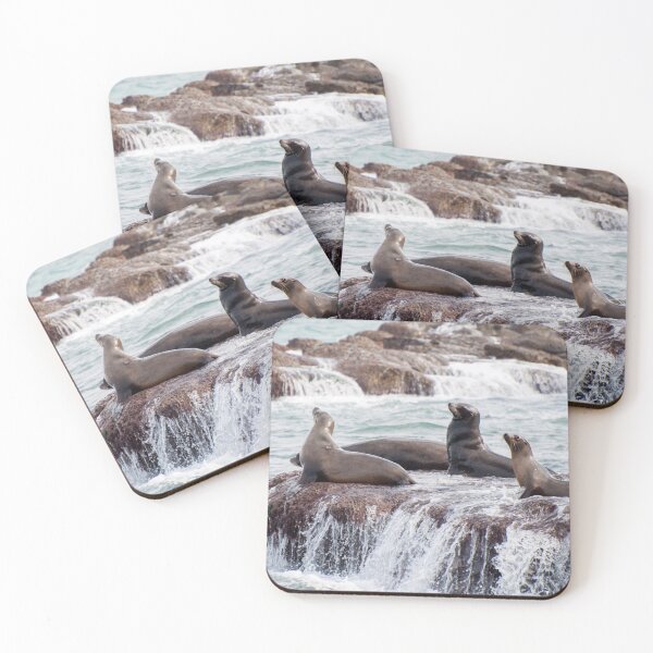 Item preview, California Sea Lions designed and sold by jenniferstuber.
