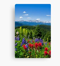Wildflowers with Distant Snowy Mountains Canvas Print
