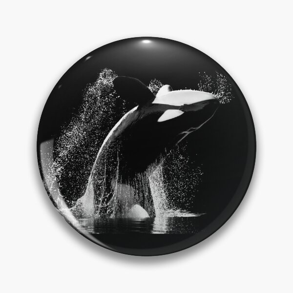 Item preview, Killer Whale - Back In Black designed and sold by jenniferstuber.
