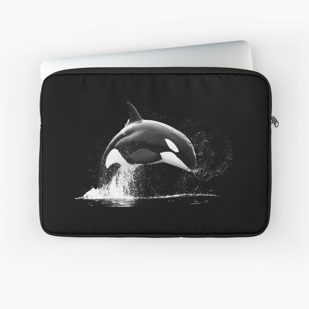 best gopro backpack mount