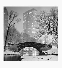 Gapstow Bridge, Study 2 Photographic Print