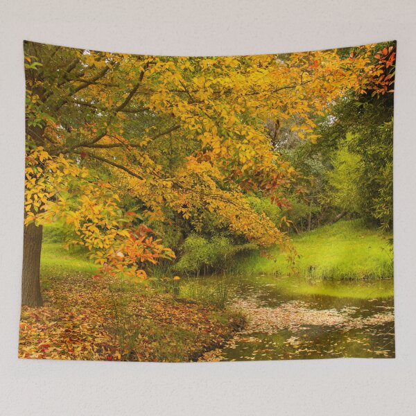 Item preview, Autumn leaf colours on trees designed and sold by Life Images by Jill .