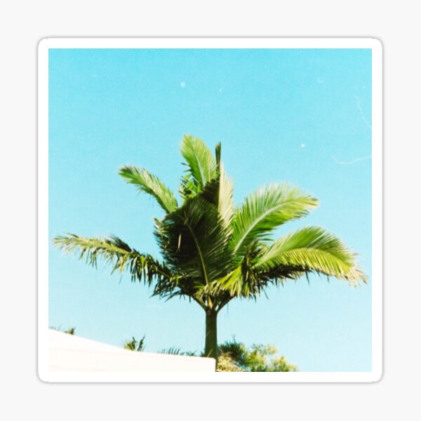 Item preview, Grunge Palm Beach designed and sold by Aisjam.