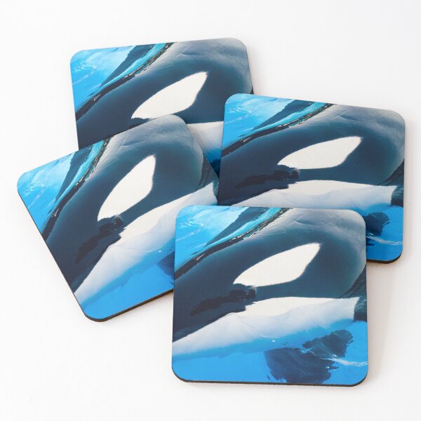 Aperçu de l'œuvre Ikaika Killer Whale créée et vendue par jenniferstuber.