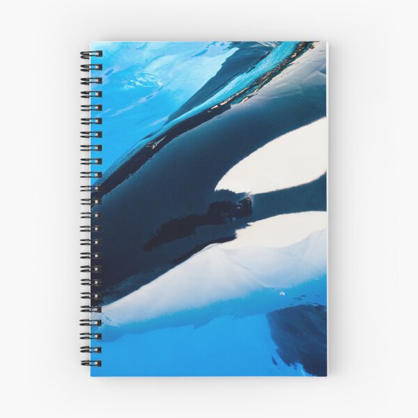 Aperçu de l'œuvre Ikaika Killer Whale créée et vendue par jenniferstuber.