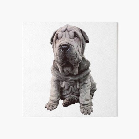 Shar Pei Cute Blue Puppy Dog Art Board Print By Elegantcat Redbubble