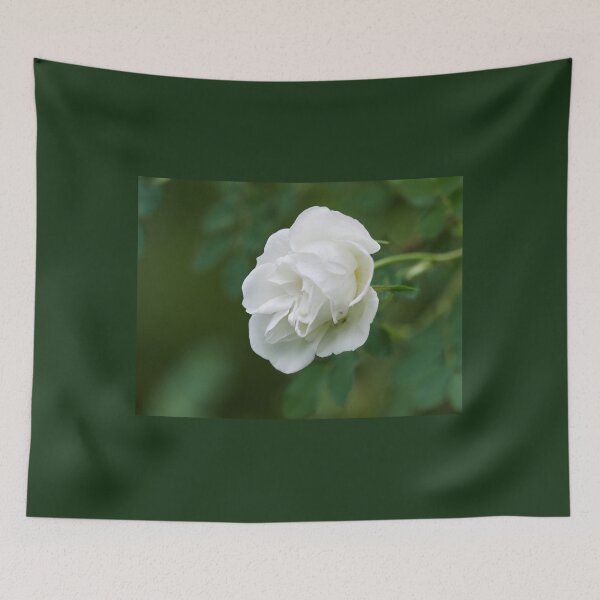 Item preview, Midsummer rose 13 designed and sold by Jouko Lehto Photography.