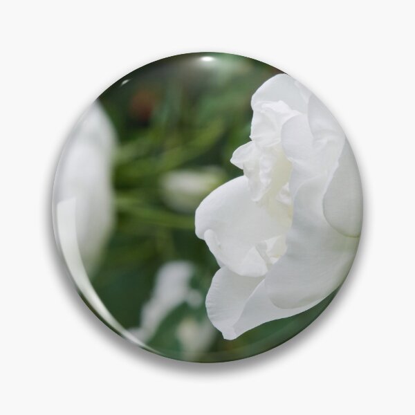 Item preview, Midsummer rose 15 designed and sold by Jouko Lehto Photography.