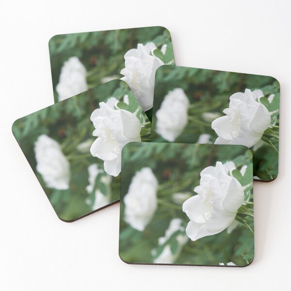 Item preview, Midsummer rose 15 designed and sold by Jouko Lehto Photography.