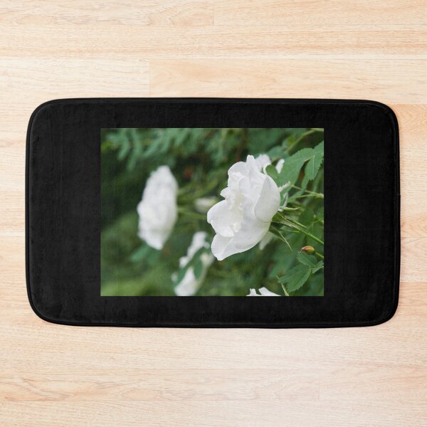Item preview, Midsummer rose 15 designed and sold by Jouko Lehto Photography.