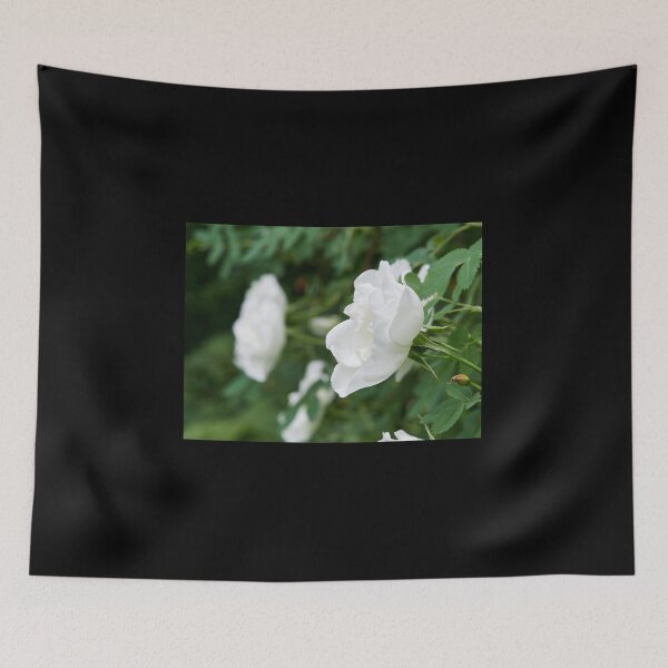 Item preview, Midsummer rose 15 designed and sold by Jouko Lehto Photography.