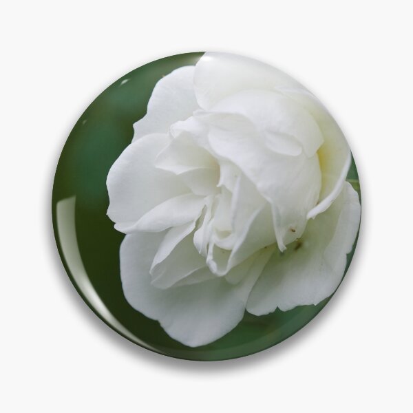 Item preview, Midsummer rose 13 designed and sold by Jouko Lehto Photography.