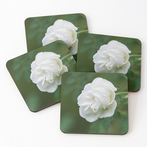 Item preview, Midsummer rose 13 designed and sold by Jouko Lehto Photography.