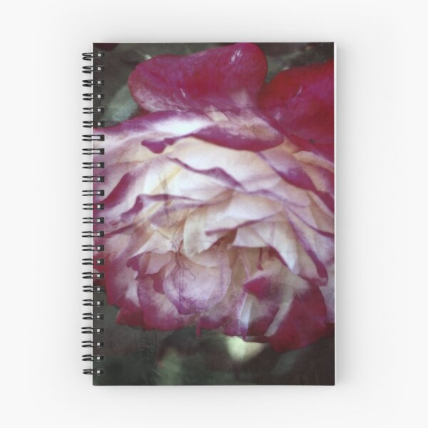 Item preview, Romantic Dreaming designed and sold by Lozzar Flowers & Art.